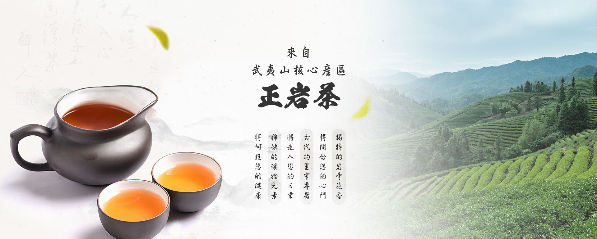 武夷岩茶、正岩茶大紅袍-客製化高級茶禮盒優惠推薦